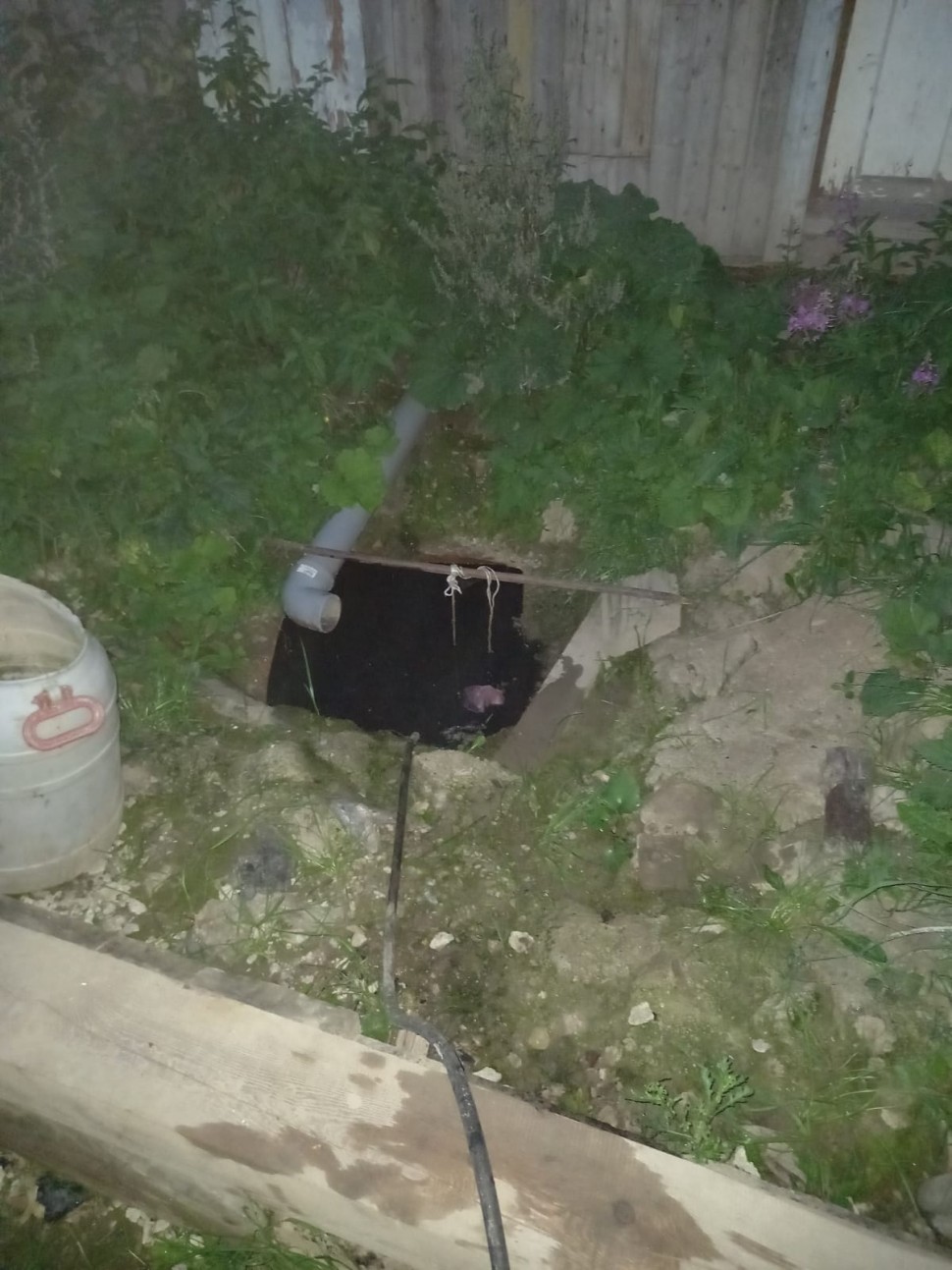 Годовалый ребенок упал в выгребную яму в поселке Плесецк и умер